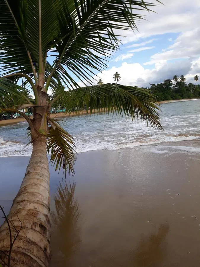 One Way Village Rincon 0*,  Puerto Rico